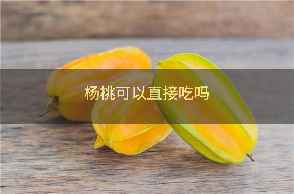 杨桃可以直接吃吗