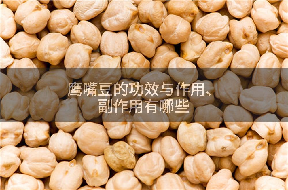 鹰嘴豆的功效与作用、副作用有哪些