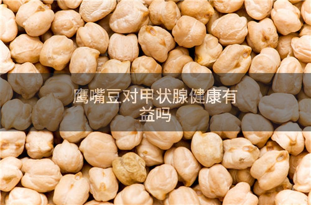 鹰嘴豆对甲状腺健康有益吗
