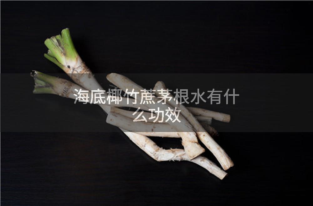 海底椰竹蔗茅根水有什么功效