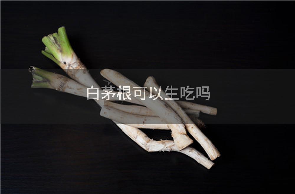 白茅根可以生吃吗