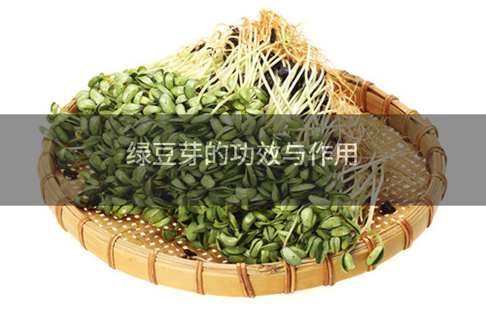 绿豆芽的功效与作用