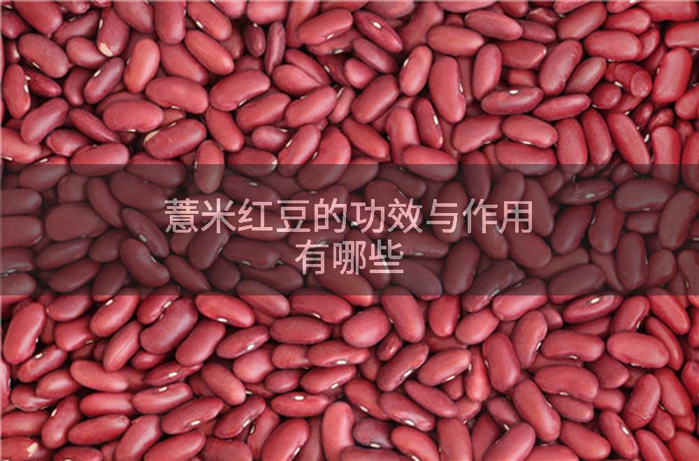 薏米红豆的功效与作用有哪些