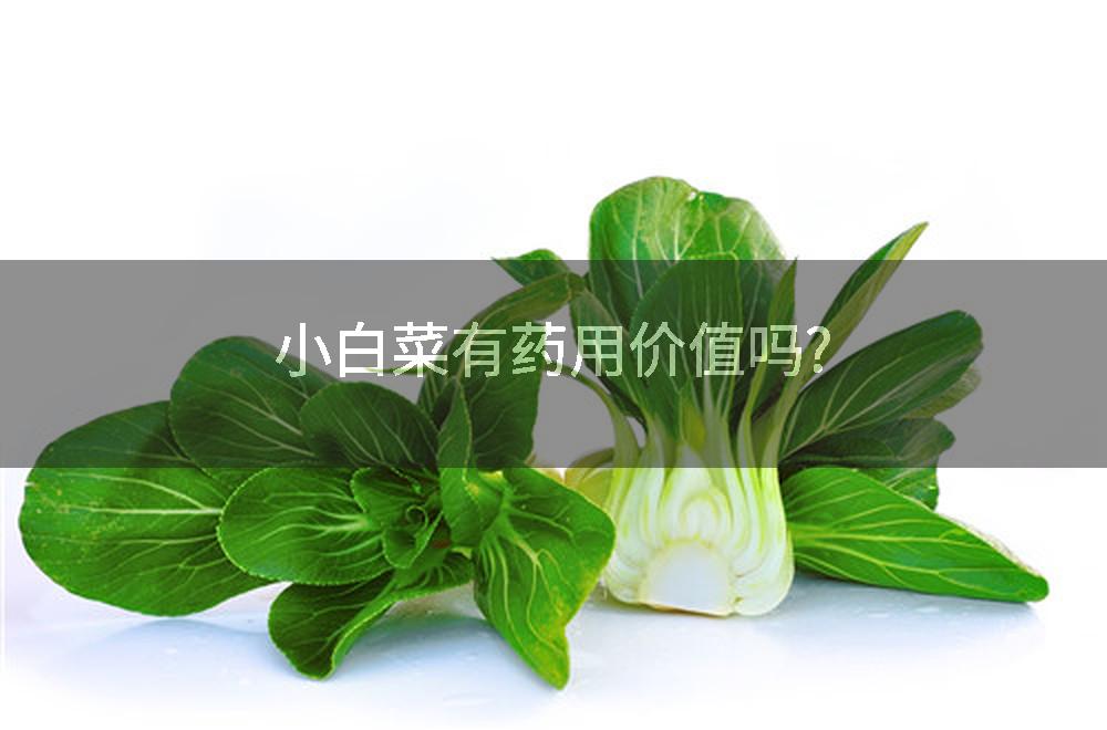 小白菜有药用价值吗?