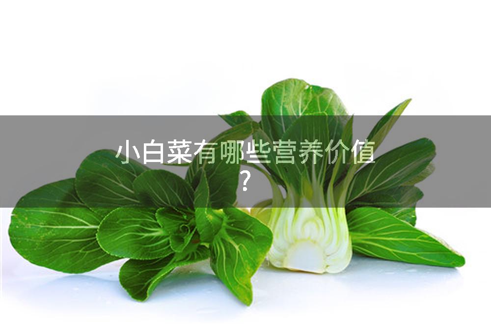 小白菜有哪些营养价值?