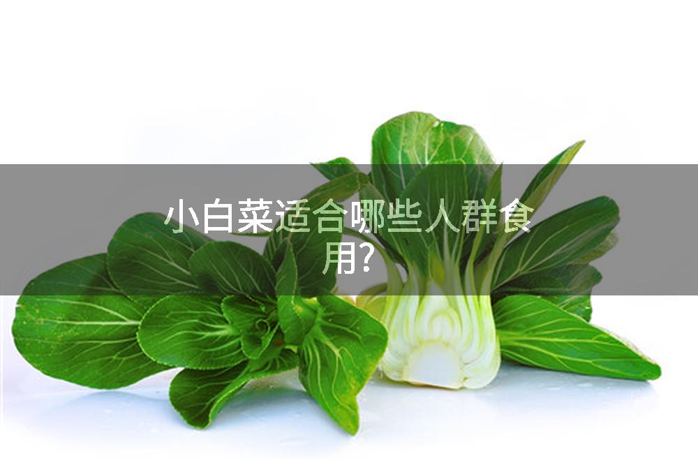 小白菜适合哪些人群食用?