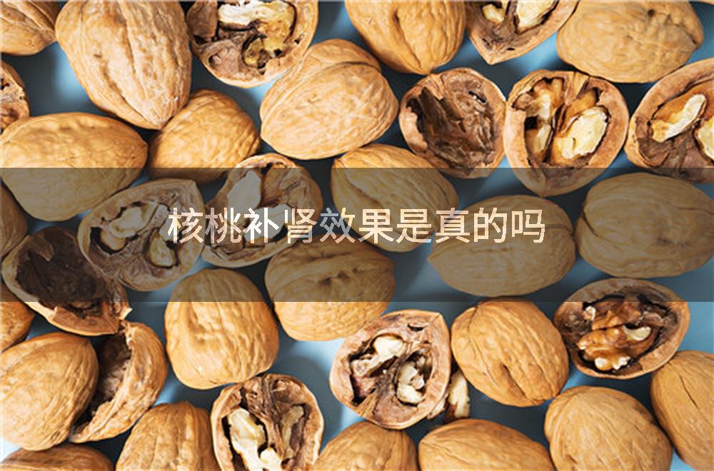 核桃补肾效果是真的吗