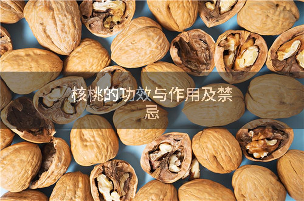 核桃的功效与作用及禁忌