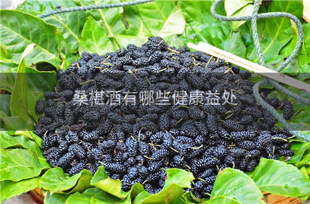 桑椹酒有哪些健康益处