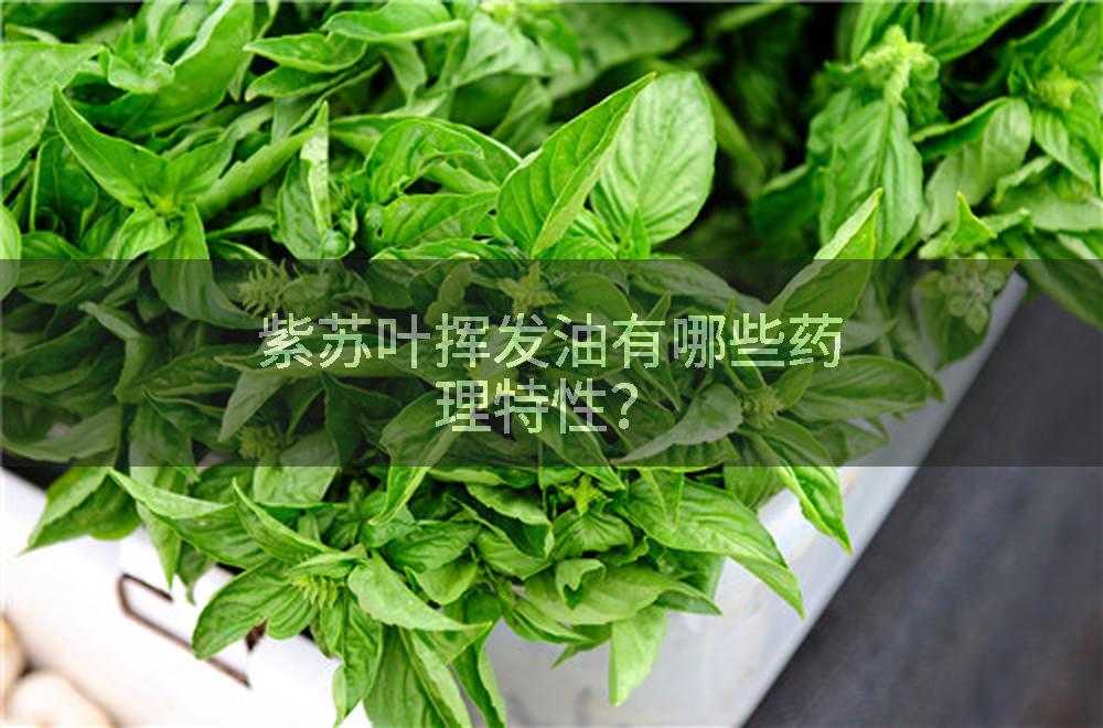 紫苏叶挥发油有哪些药理特性？