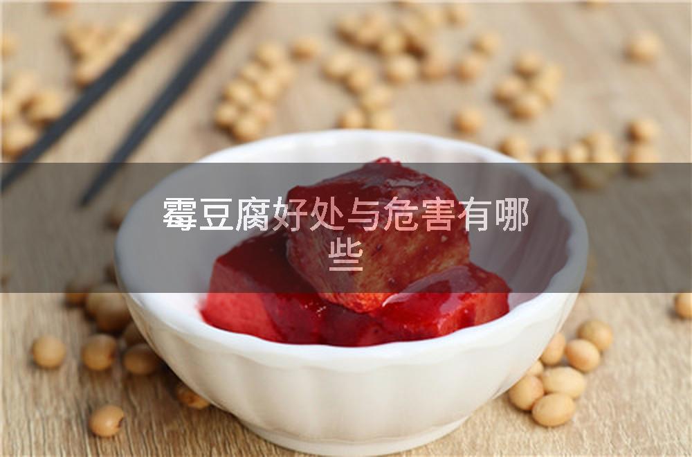 霉豆腐好处与危害有哪些