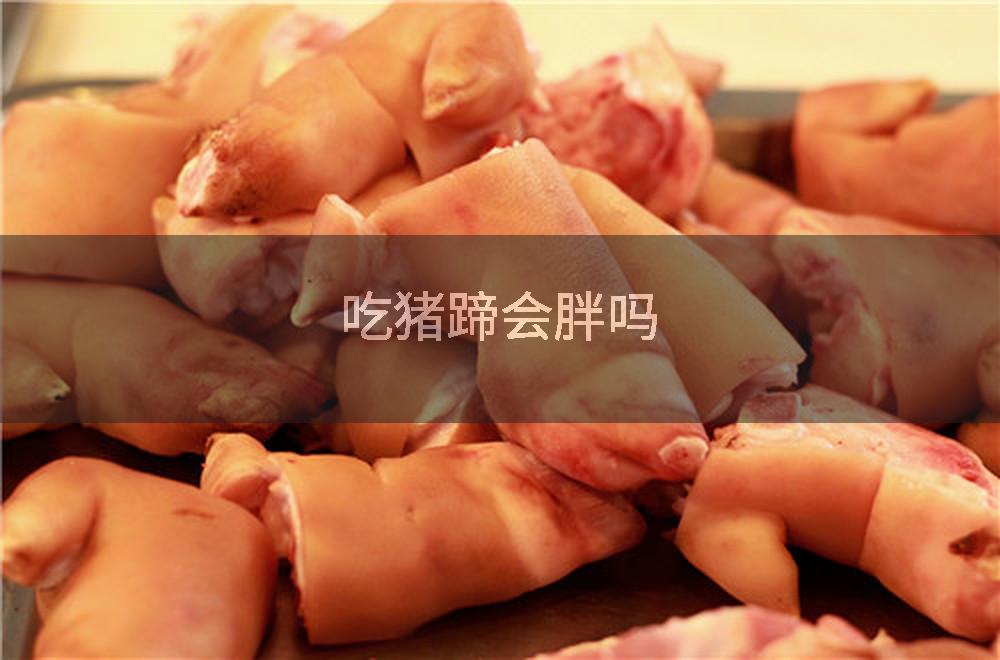 吃猪蹄会胖吗