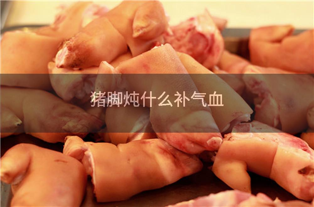 猪脚炖什么补气血
