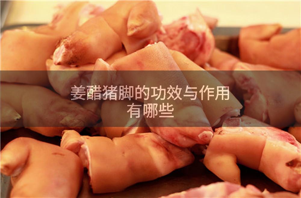 姜醋猪脚的功效与作用有哪些