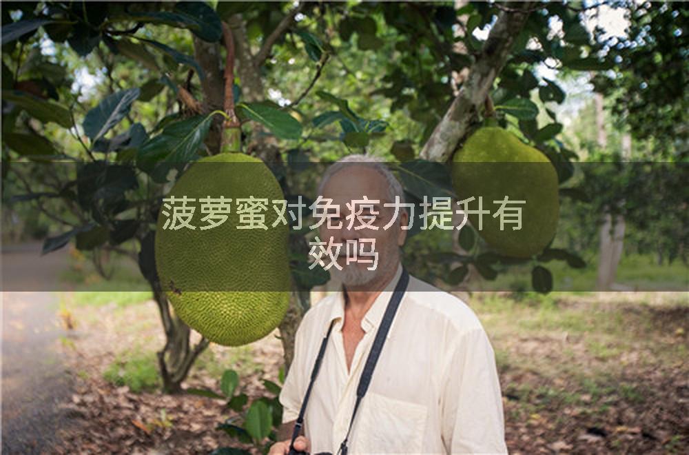 菠萝蜜对免疫力提升有效吗