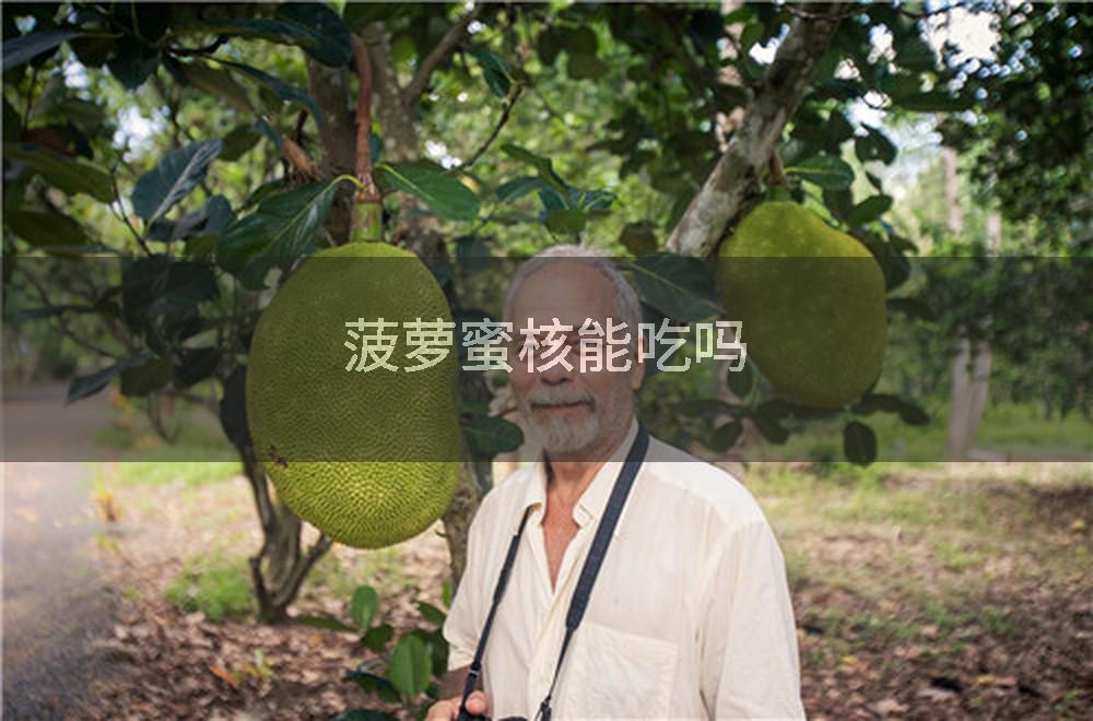 菠萝蜜核能吃吗