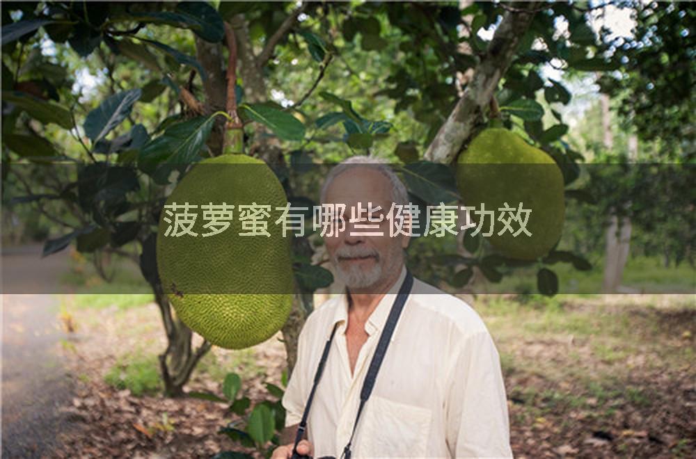 菠萝蜜有哪些健康功效