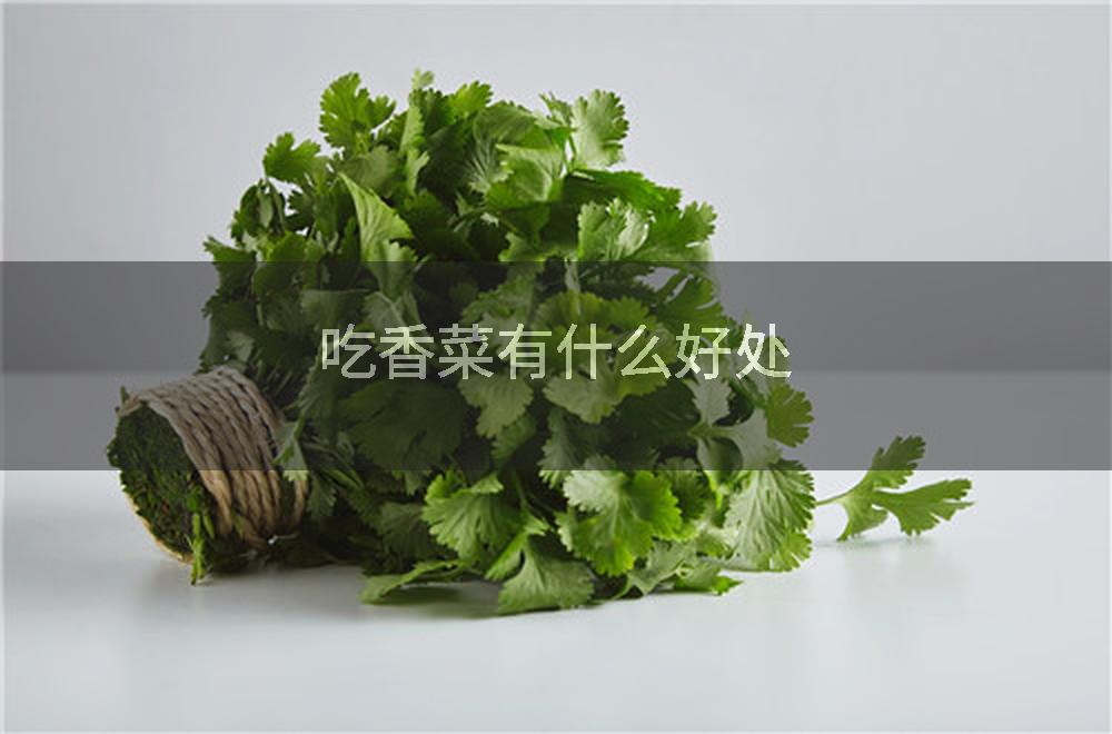 吃香菜有什么好处
