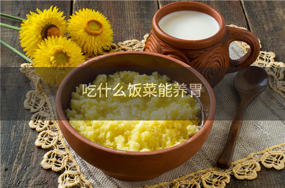 吃什么饭菜能养胃