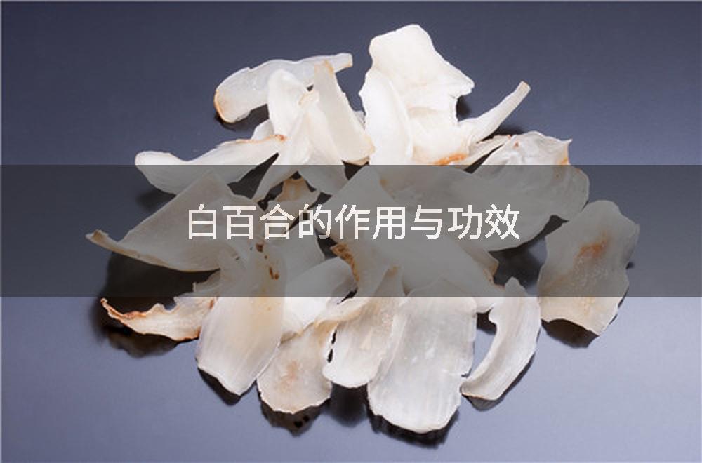 白百合的作用与功效