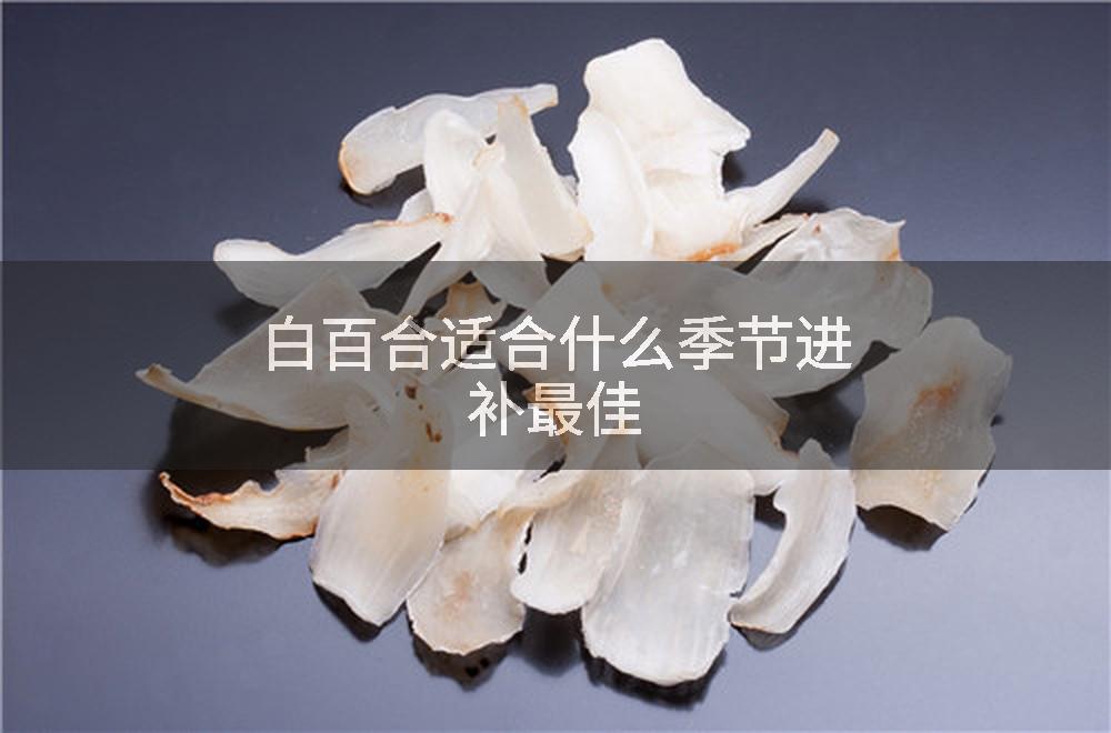 白百合适合什么季节进补最佳