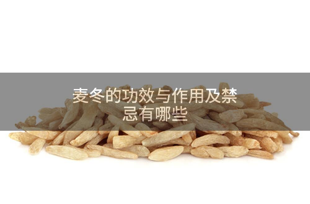 麦冬的功效与作用及禁忌有哪些