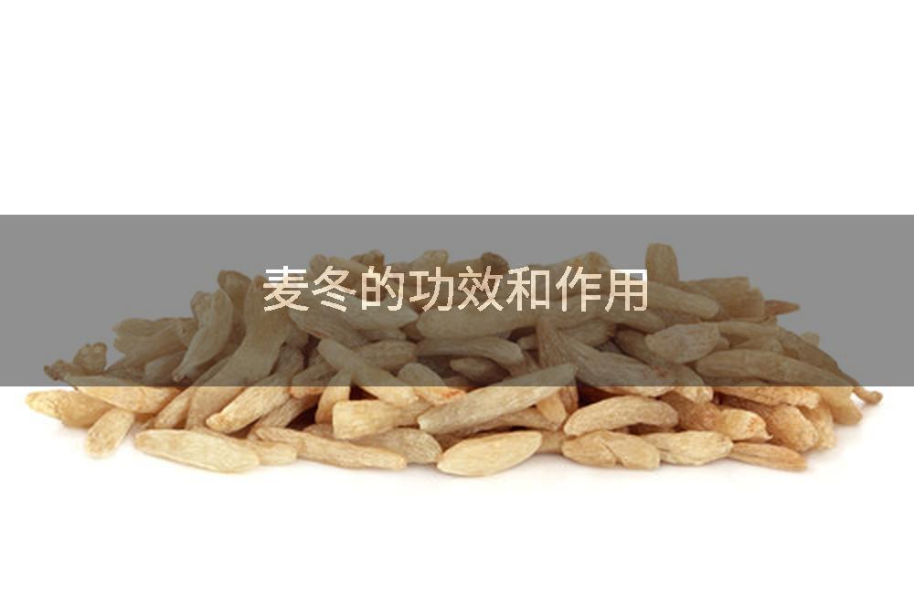 麦冬的功效和作用