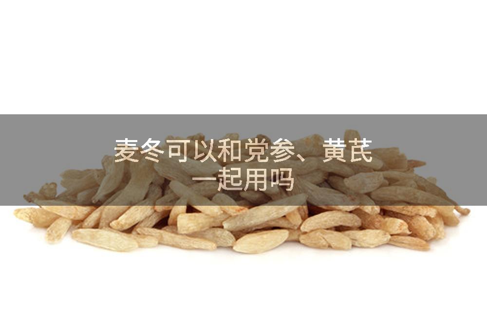 麦冬可以和党参、黄芪一起用吗