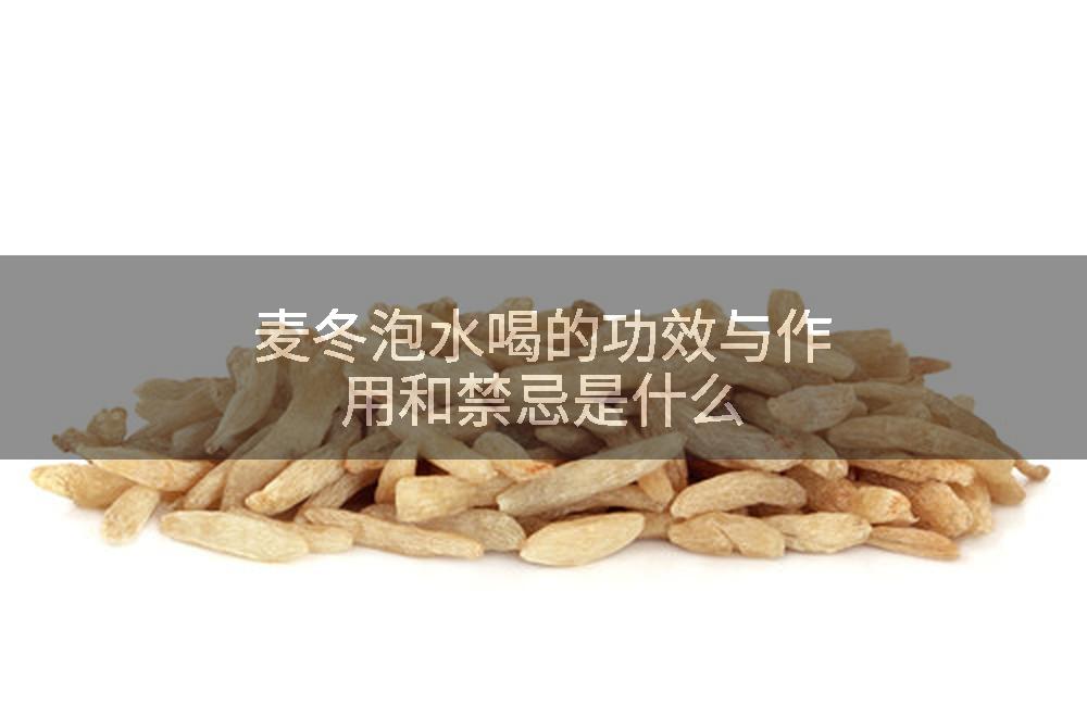 麦冬泡水喝的功效与作用和禁忌是什么