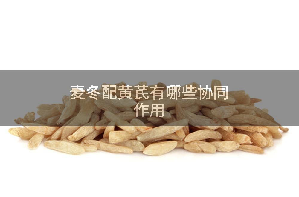 麦冬配黄芪有哪些协同作用