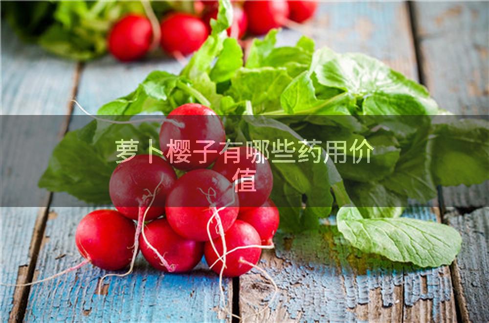 萝卜樱子有哪些药用价值
