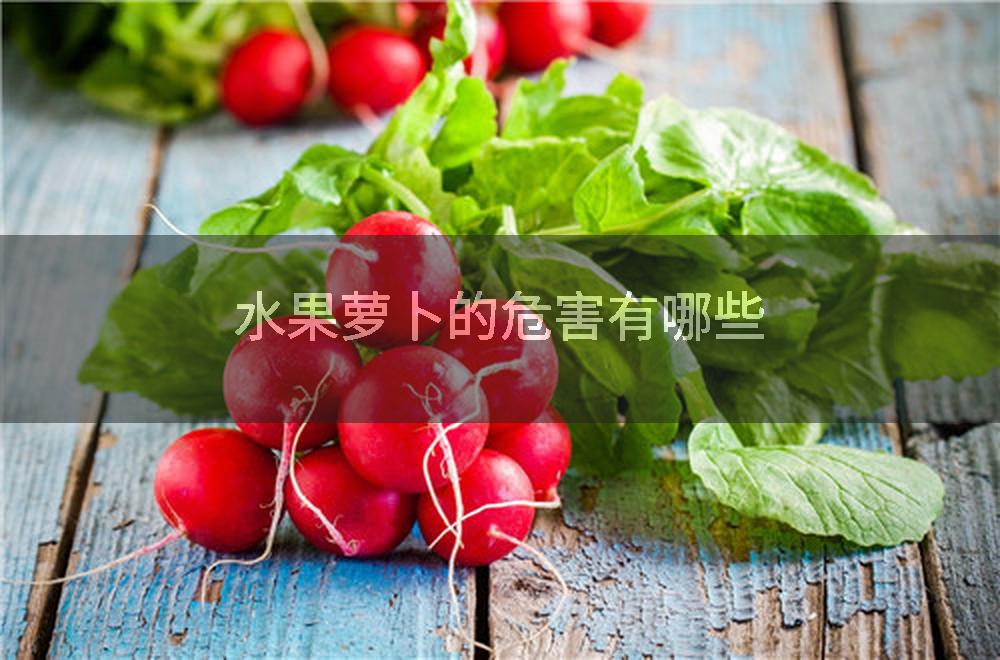 水果萝卜的危害有哪些