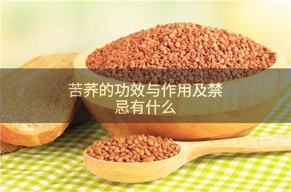 苦荞的功效与作用及禁忌有什么
