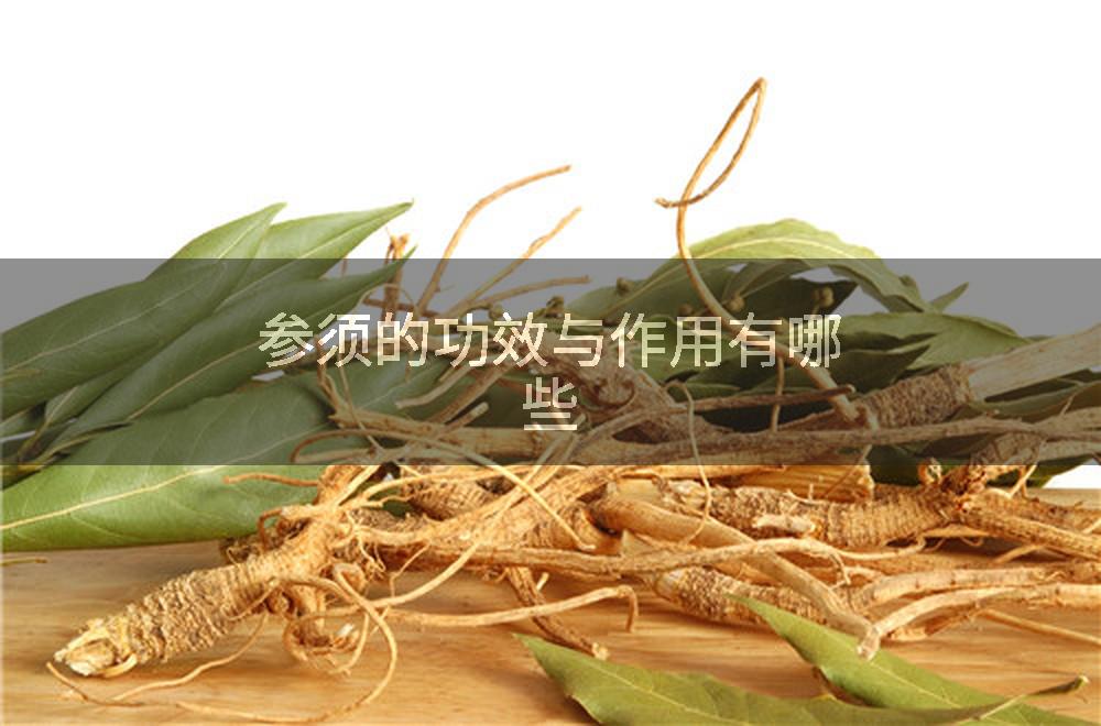 参须的功效与作用有哪些