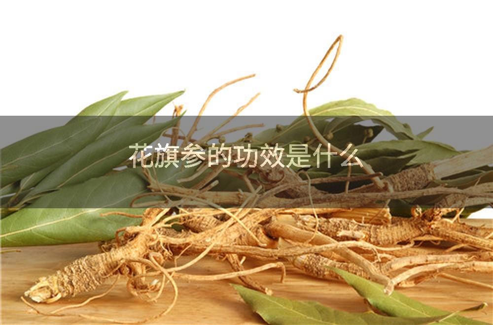 花旗参的功效是什么