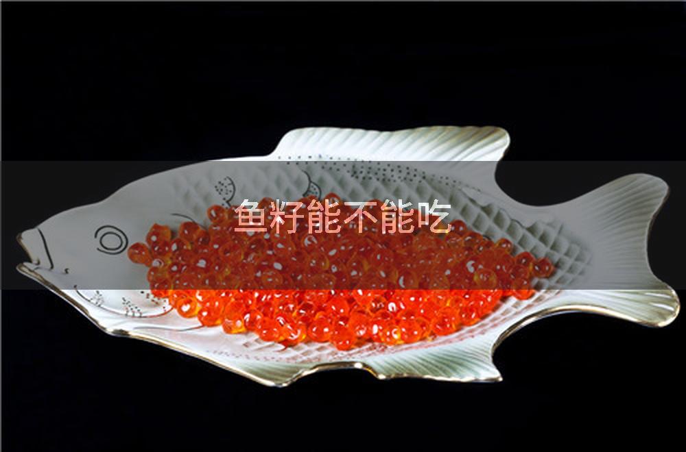 鱼籽能不能吃