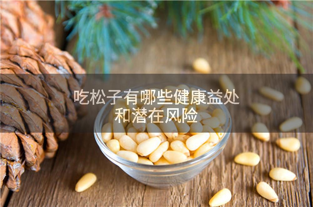 吃松子有哪些健康益处和潜在风险