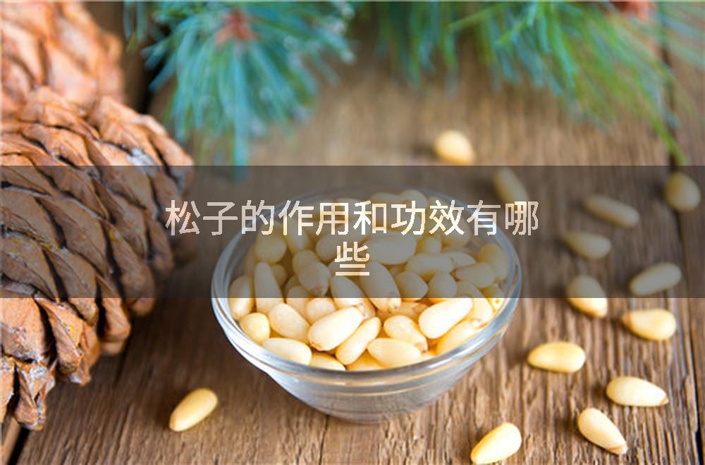 松子的作用和功效有哪些