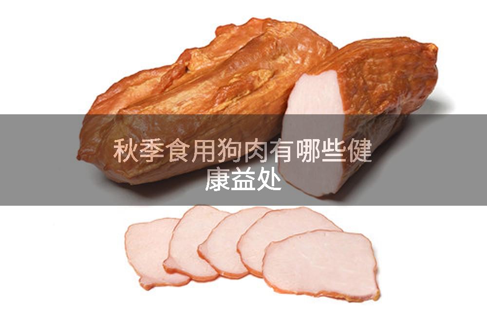 秋季食用狗肉有哪些健康益处
