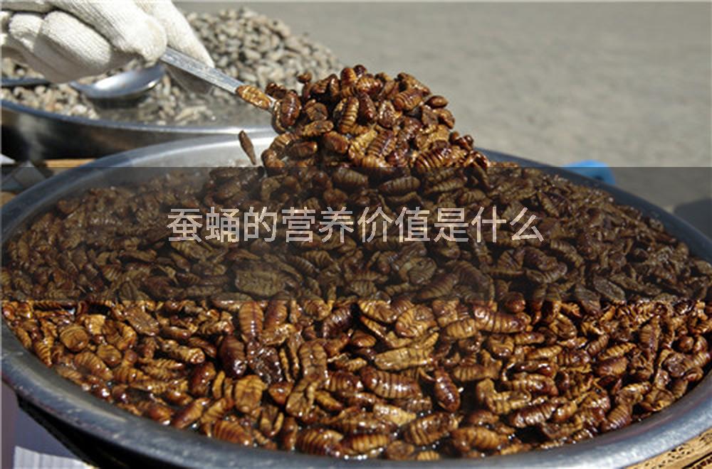 蚕蛹的营养价值是什么