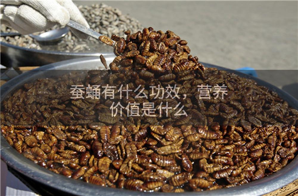 蚕蛹有什么功效，营养价值是什么