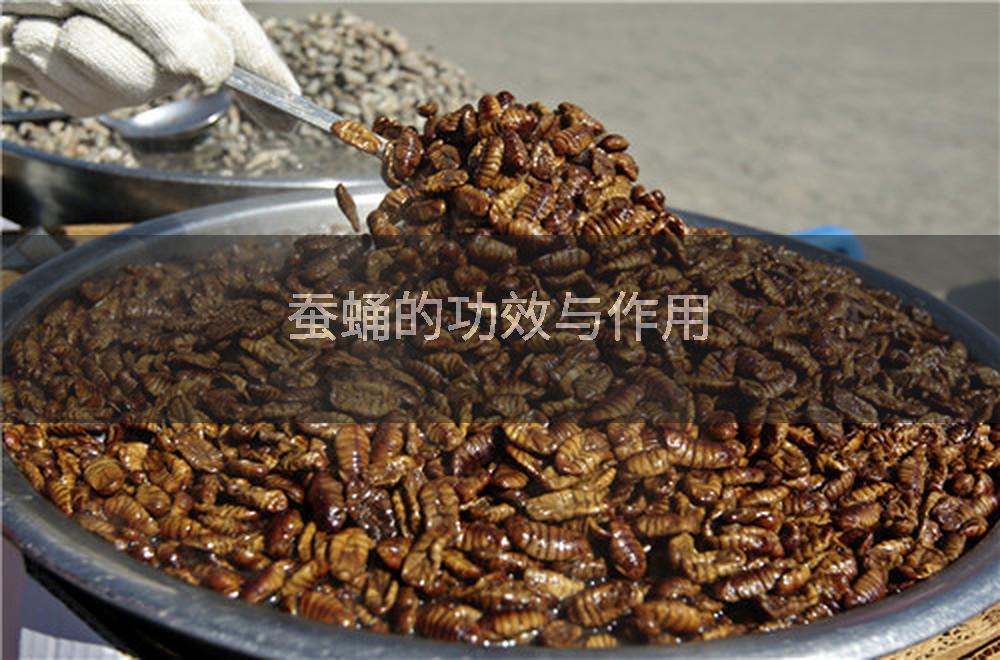 蚕蛹的功效与作用