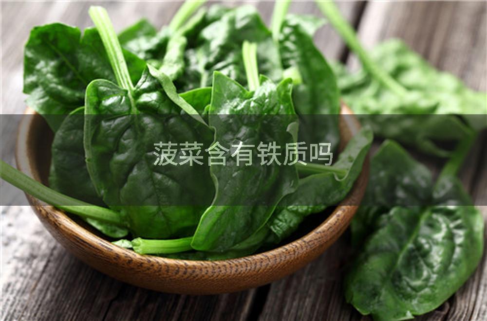 菠菜含有铁质吗