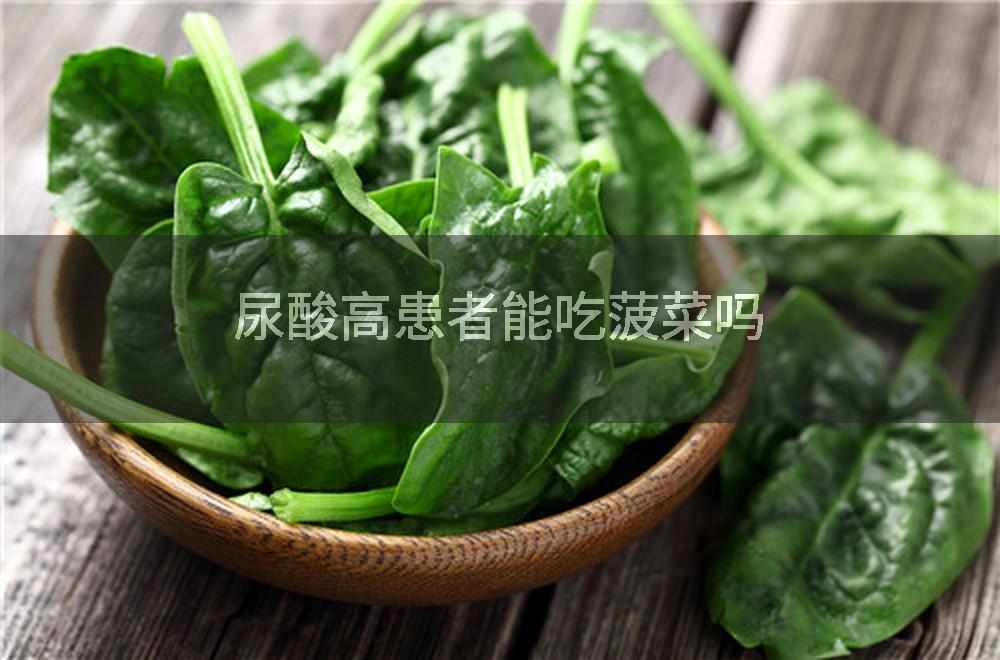 尿酸高患者能吃菠菜吗