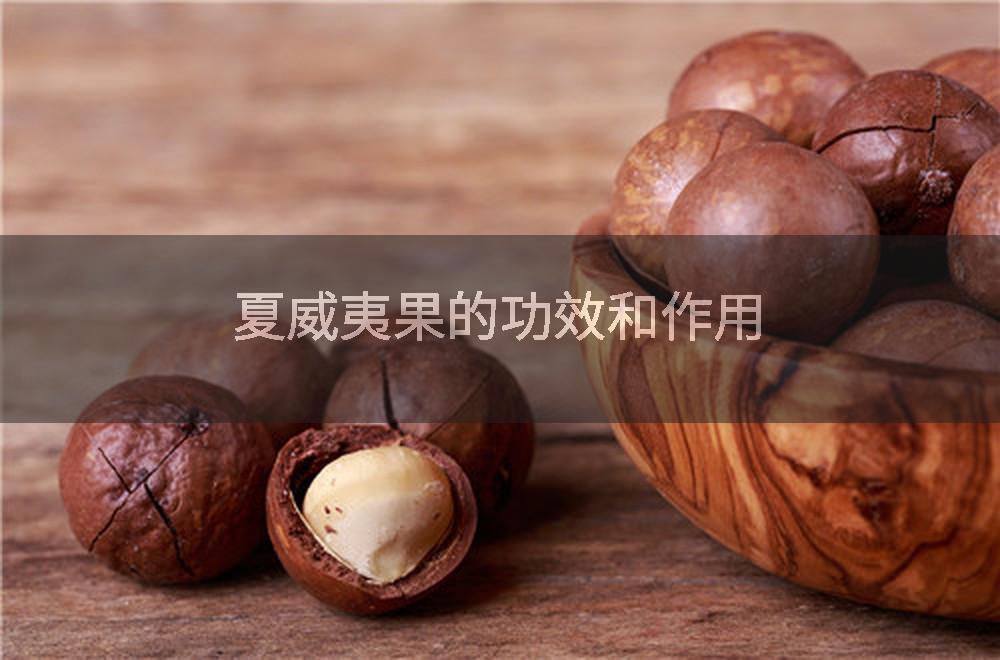 夏威夷果的功效和作用
