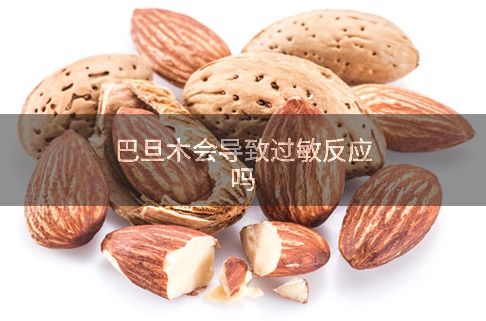 巴旦木会导致过敏反应吗