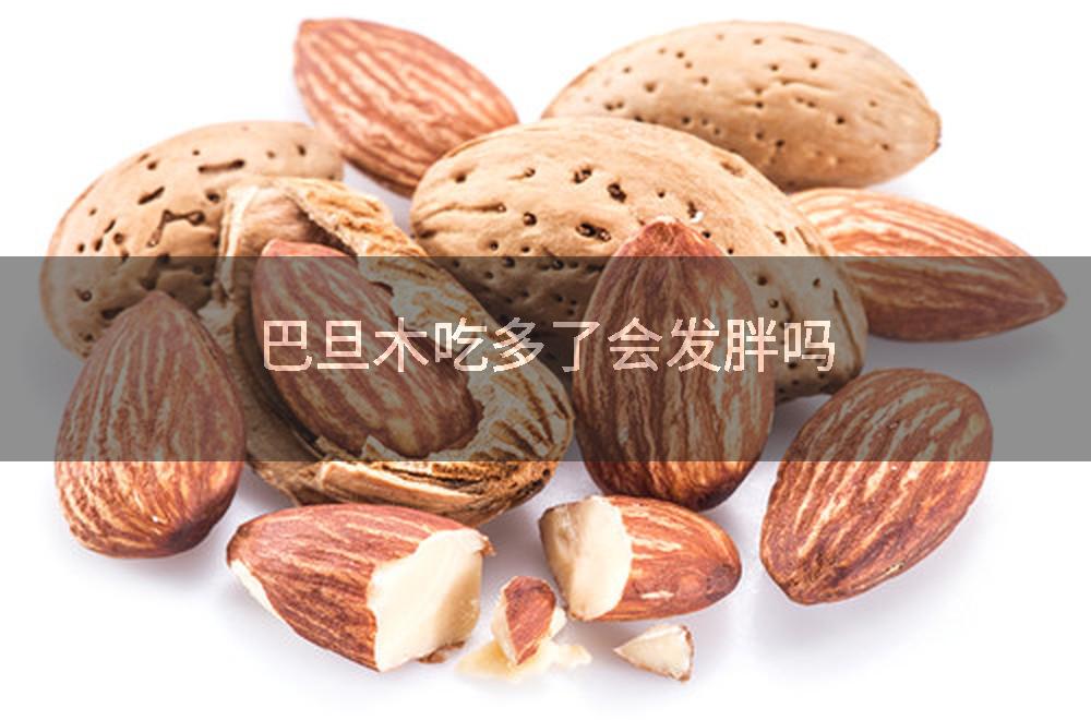 巴旦木吃多了会发胖吗