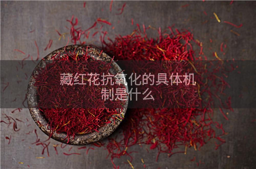 藏红花抗氧化的具体机制是什么