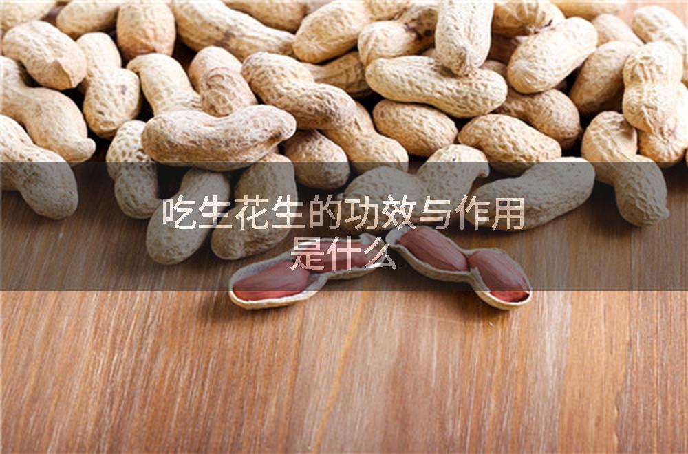 吃生花生的功效与作用是什么