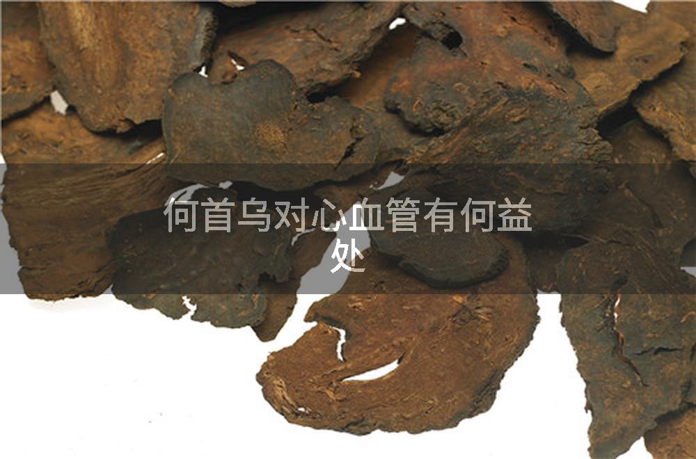 何首乌对心血管有何益处